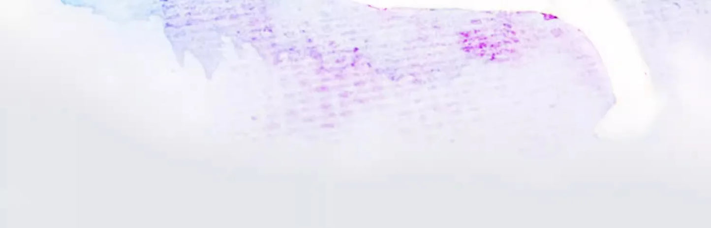 Tinta de enmascaramiento para acuarela, botella de Gel blanco líquido, tubo de aguja, pintura líquida blanca de acuarela