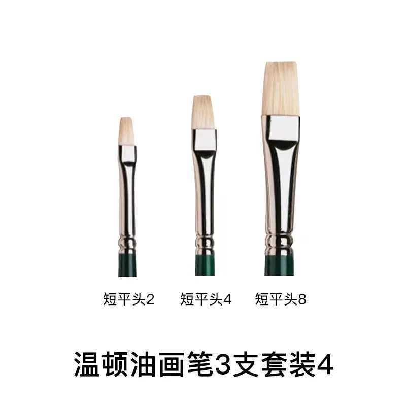 Pincel para óleo Winsor & Newton Winton, mango largo, paquete de 5