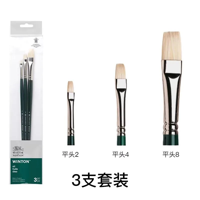 Pincel para óleo Winsor & Newton Winton, mango largo, paquete de 5