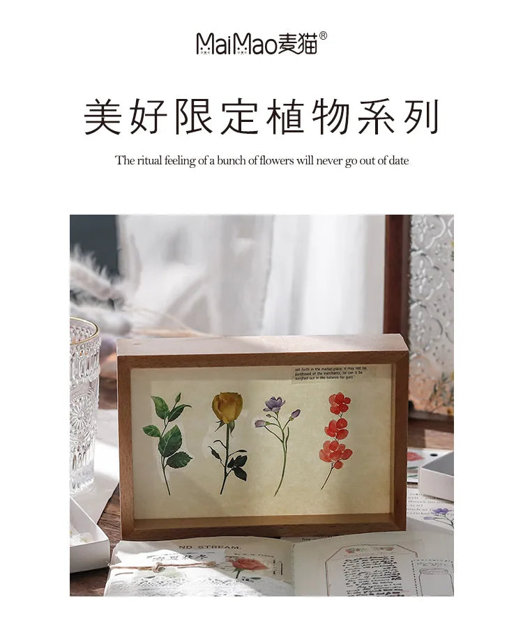 40 hojas de stickers vintage de plantas y flores
