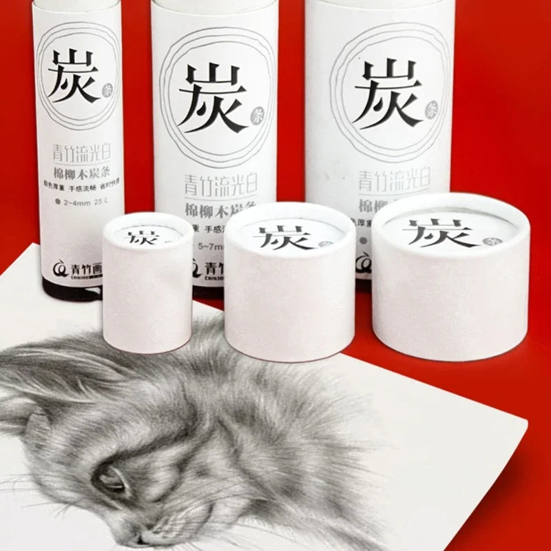 Lápices de carbón de vid para dibujo profesional, 25 piezas