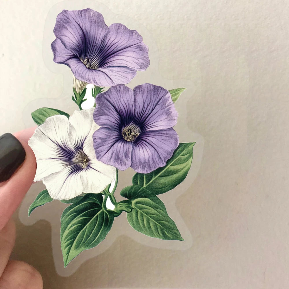 50 Uds. Vintage seta planta mariposa, transparente