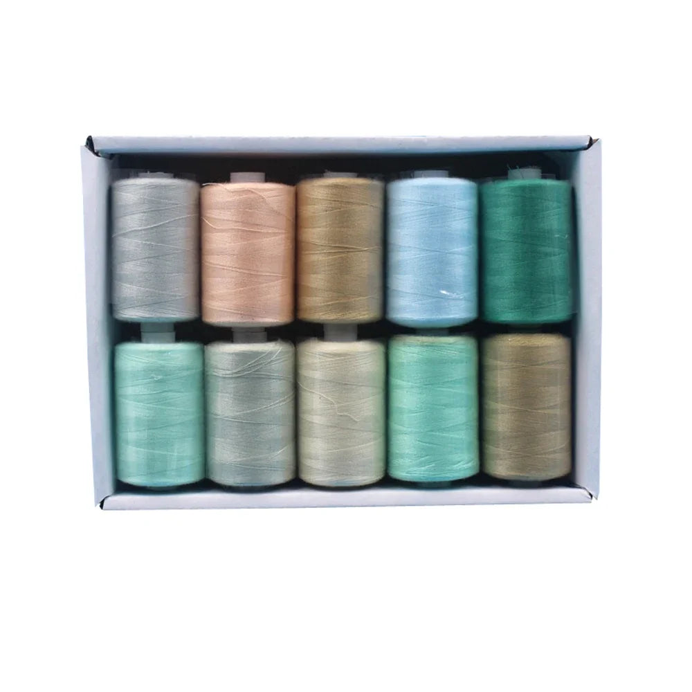 Kit de carretes de hilo de coser de poliéster, para coser a mano y a máquina, 1/10/12 colores