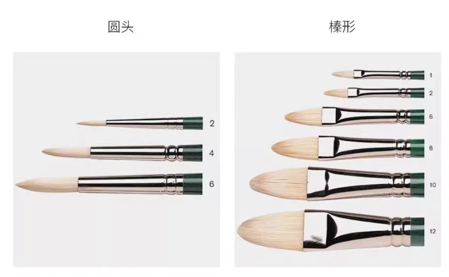 Pincel para óleo Winsor & Newton Winton, mango largo, paquete de 5