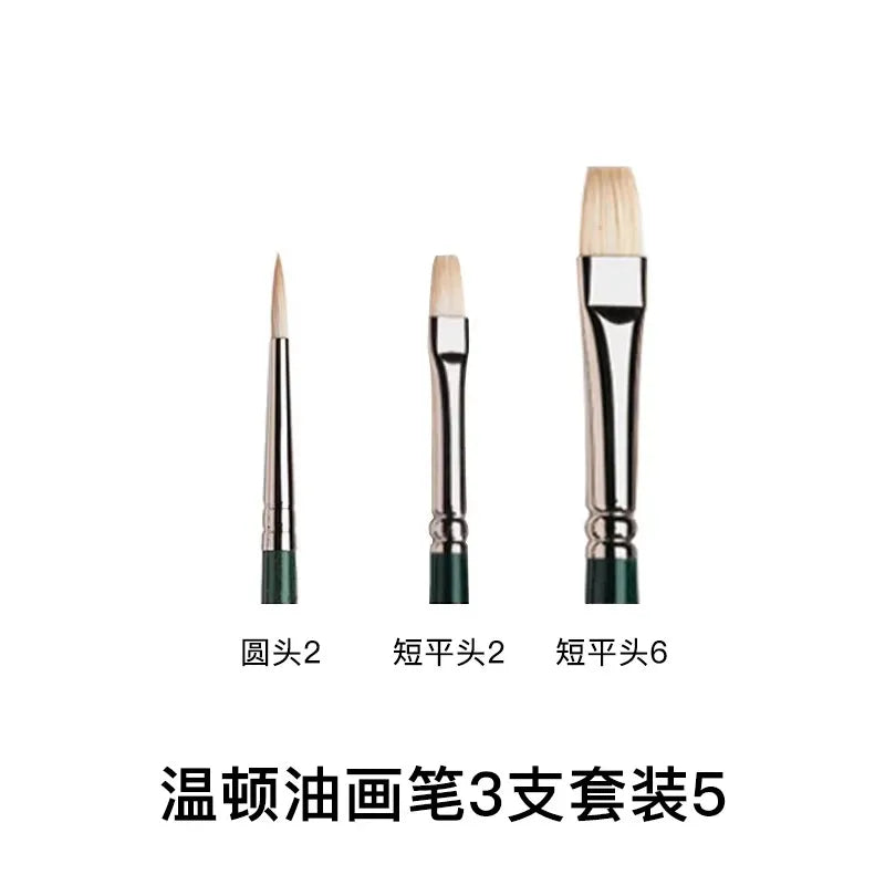 Pincel para óleo Winsor & Newton Winton, mango largo, paquete de 5