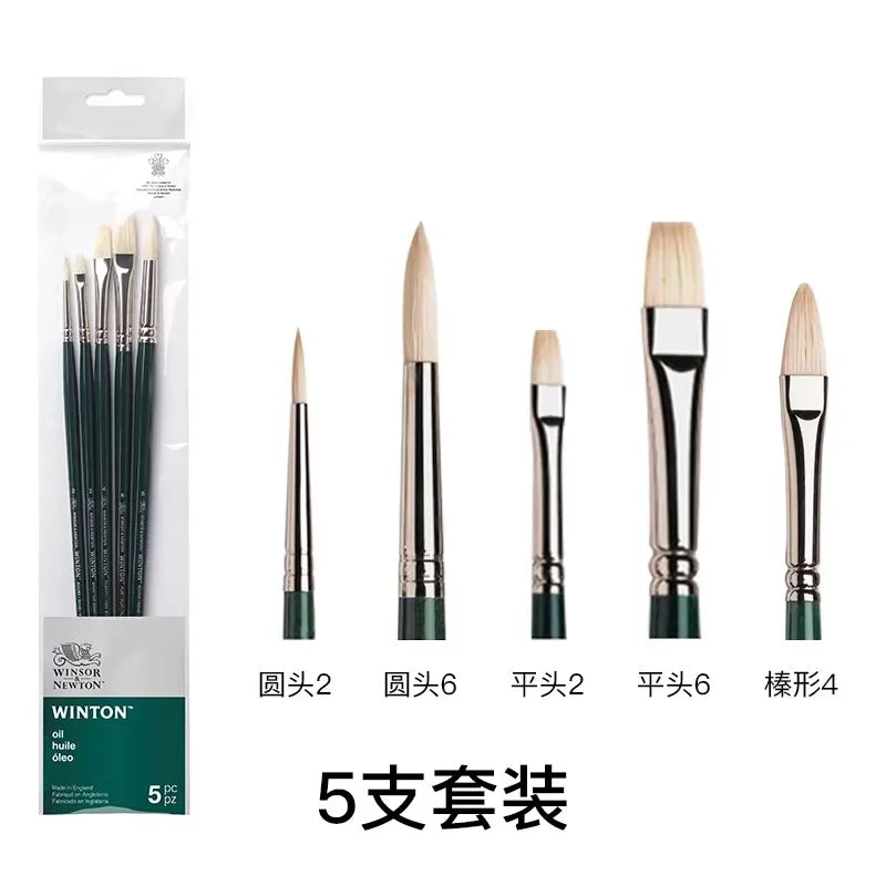 Pincel para óleo Winsor & Newton Winton, mango largo, paquete de 5
