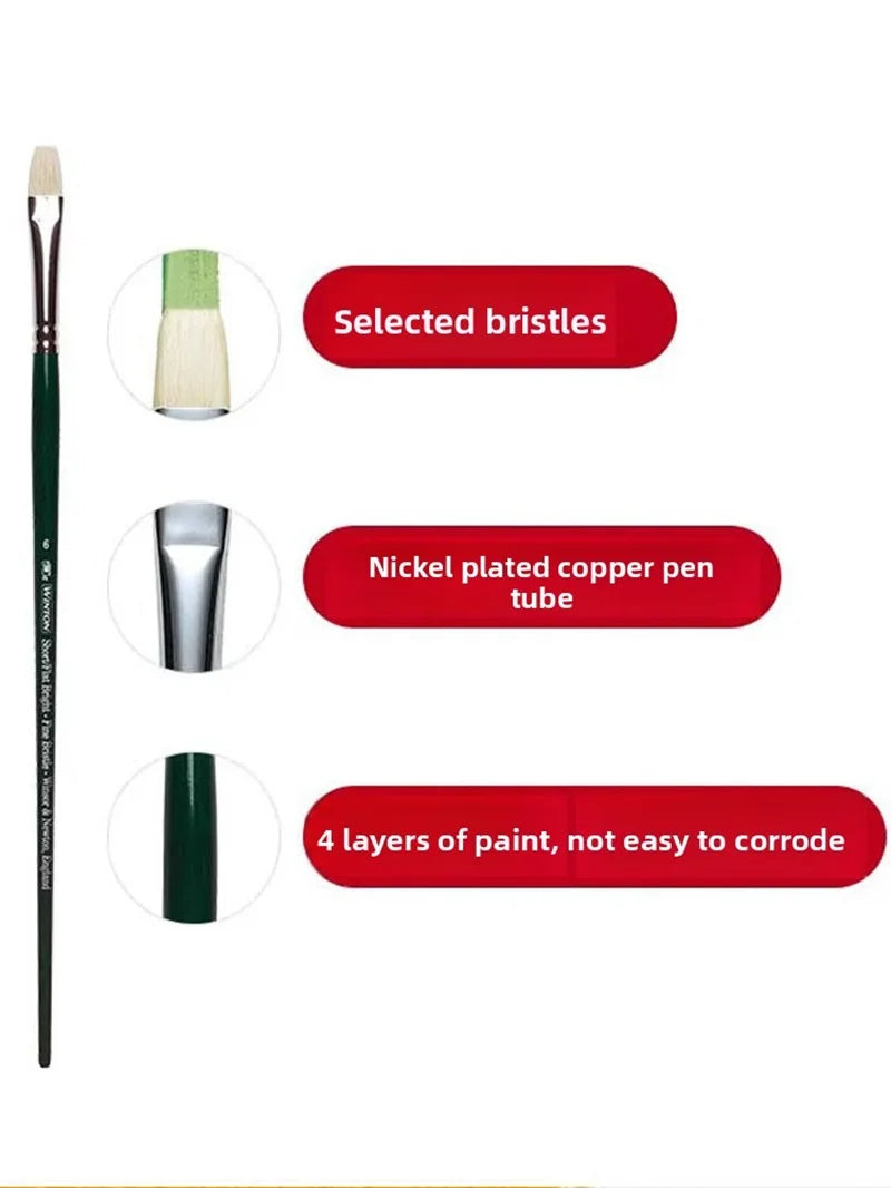 Pincel para óleo Winsor & Newton Winton, mango largo, paquete de 5