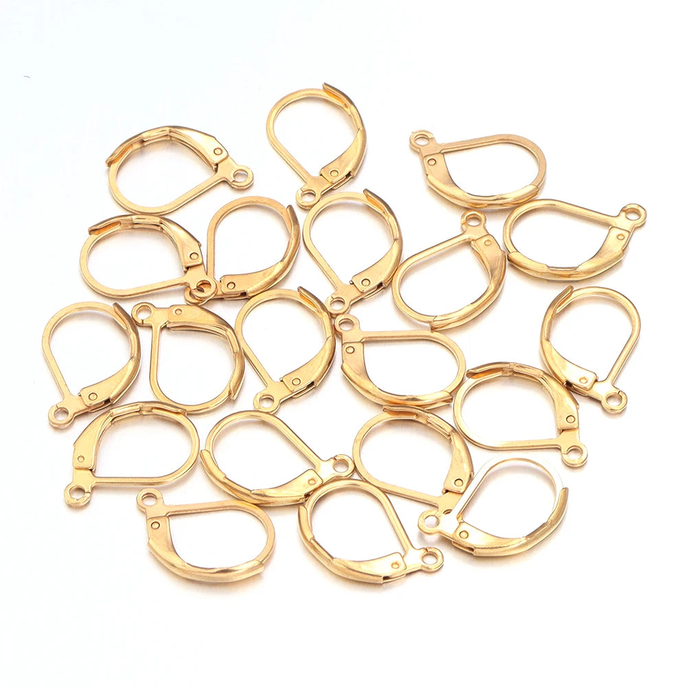 20 unids/lote de ganchos para aros de acero inoxidable