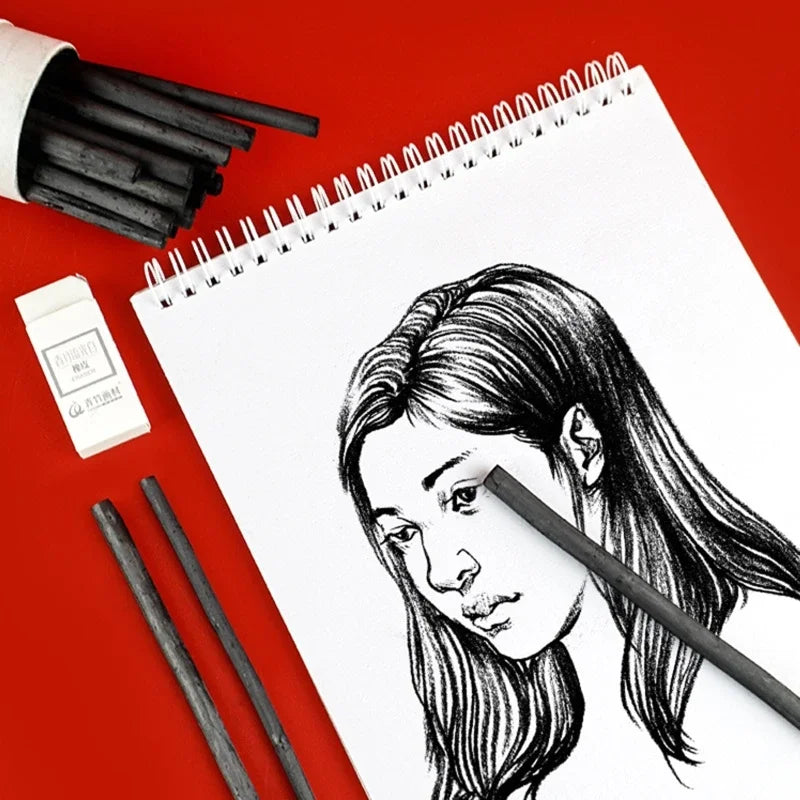 Lápices de carbón de vid para dibujo profesional, 25 piezas