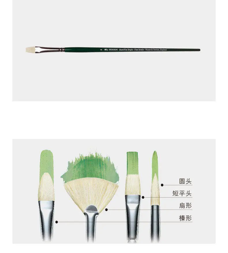 Juego de Pinceles para Óleo Winsor & Newton - Pinceles Planos y en Forma de Abanico, de Cerda de Cerdo