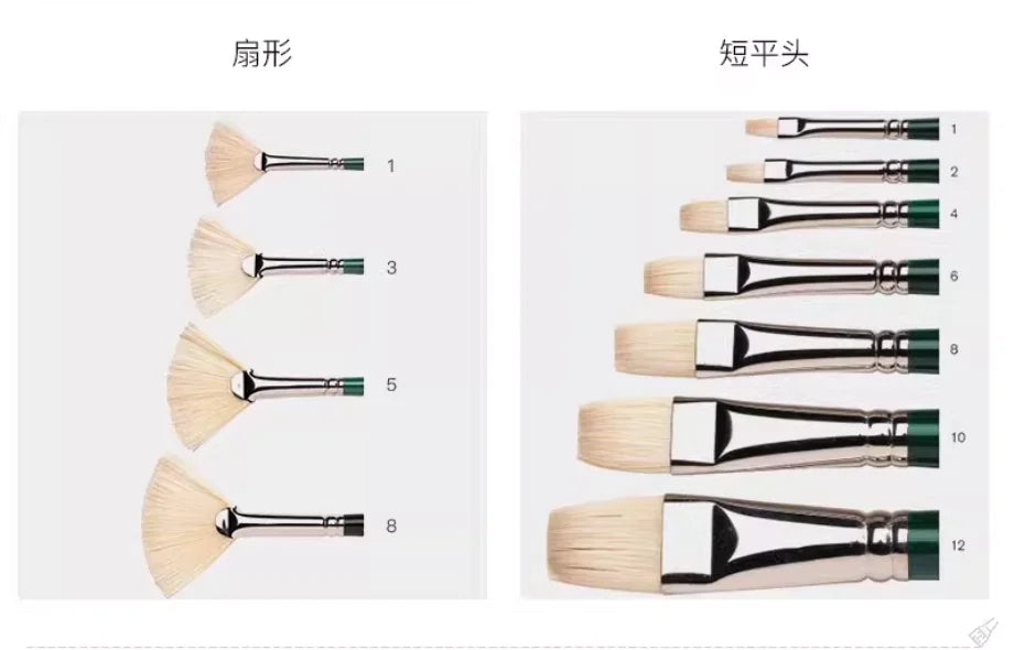 Pincel para óleo Winsor & Newton Winton, mango largo, paquete de 5