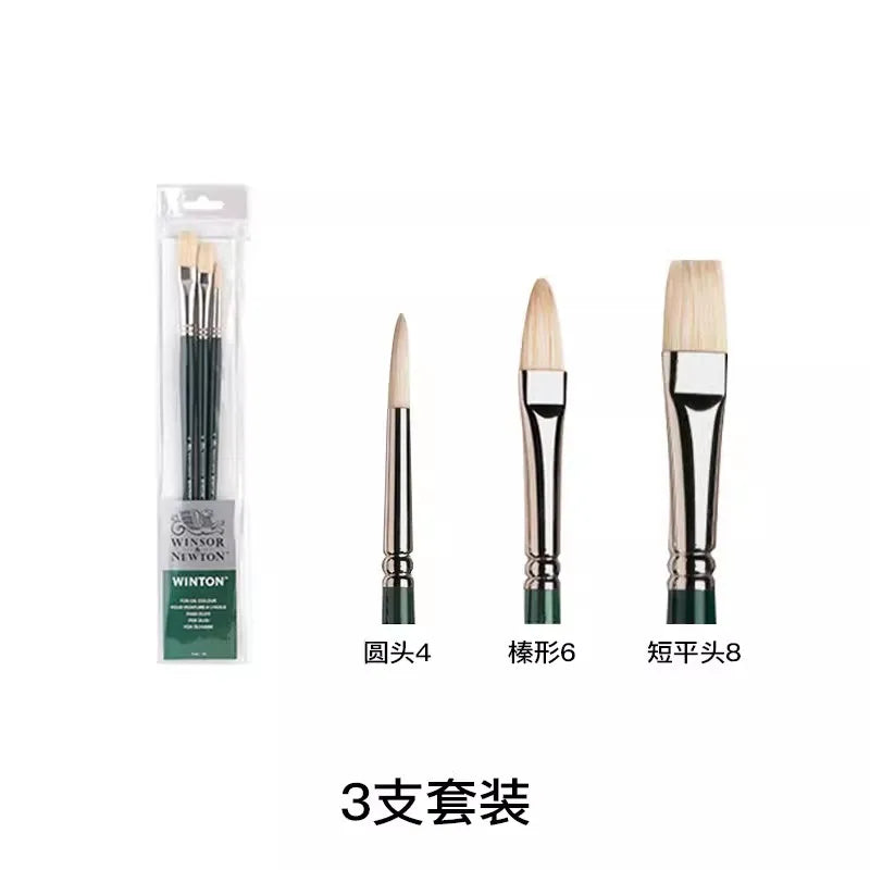 Pincel para óleo Winsor & Newton Winton, mango largo, paquete de 5