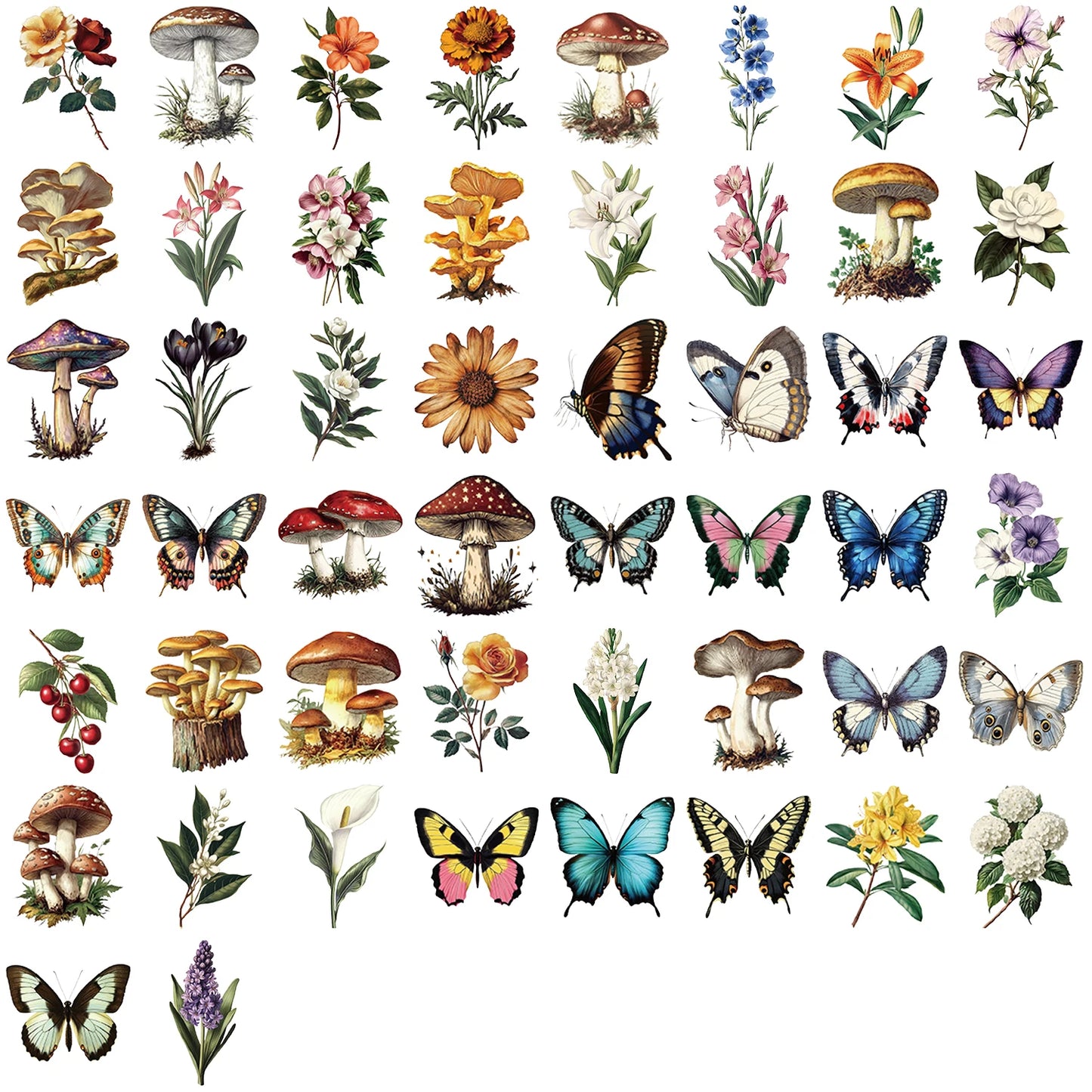 50 Uds. Vintage seta planta mariposa, transparente