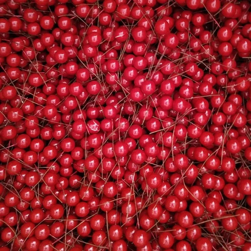 Bayas rojas para decoración de árbol de Navidad, 50/1000 piezas