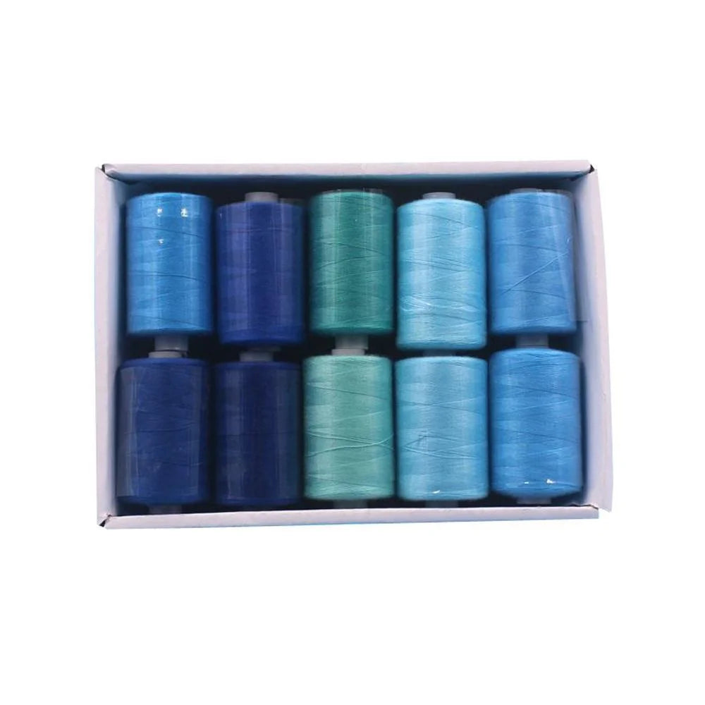 Kit de carretes de hilo de coser de poliéster, para coser a mano y a máquina, 1/10/12 colores