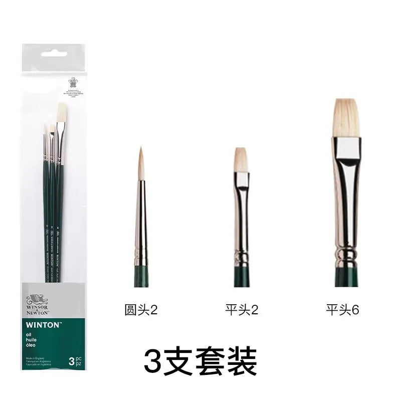 Pincel para óleo Winsor & Newton Winton, mango largo, paquete de 5