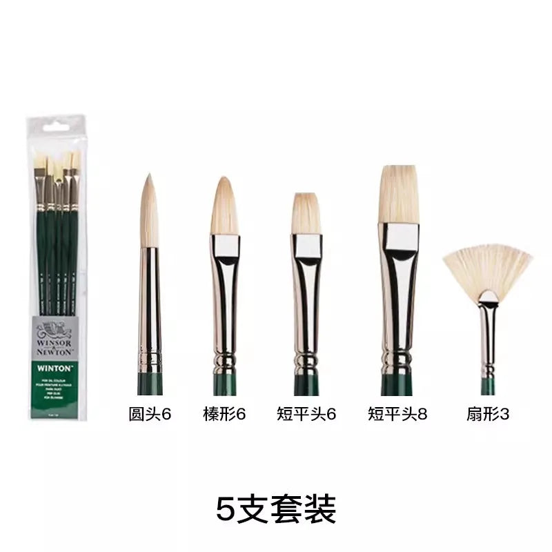 Pincel para óleo Winsor & Newton Winton, mango largo, paquete de 5