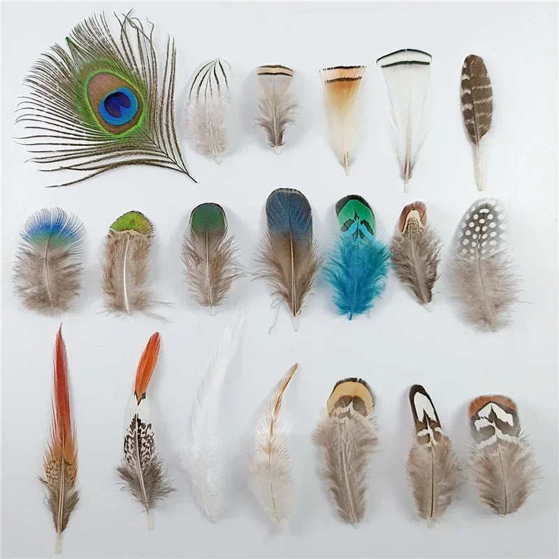 Plumas variadas, de faisán naturales, plumas de pavo real, águila pequeña, artesanía, accesorios, creación de joyería, decoración.