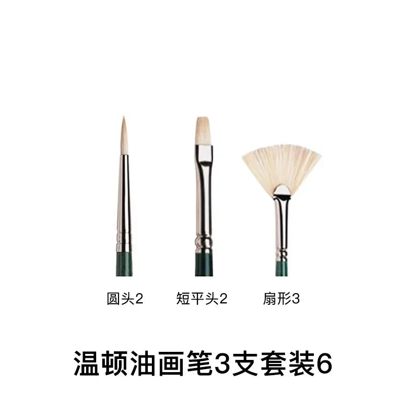 Pincel para óleo Winsor & Newton Winton, mango largo, paquete de 5